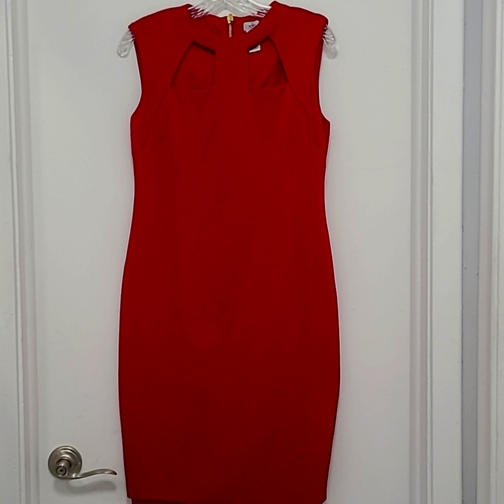 Red Cache Dress